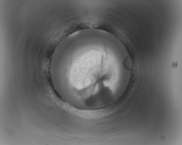 X0000114610030200911171045