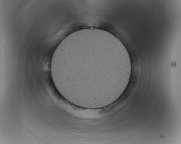 X0000114610032200911171045