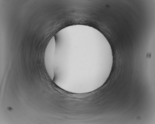 X0000114610033200911171045