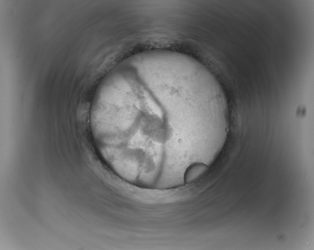 X0000114610034200911171045