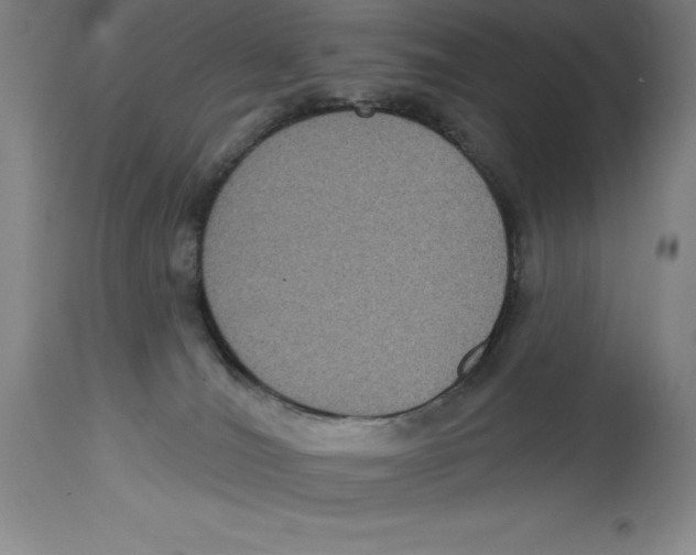 X0000114610036200911171045