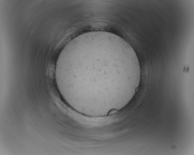 X0000114610038200911171045