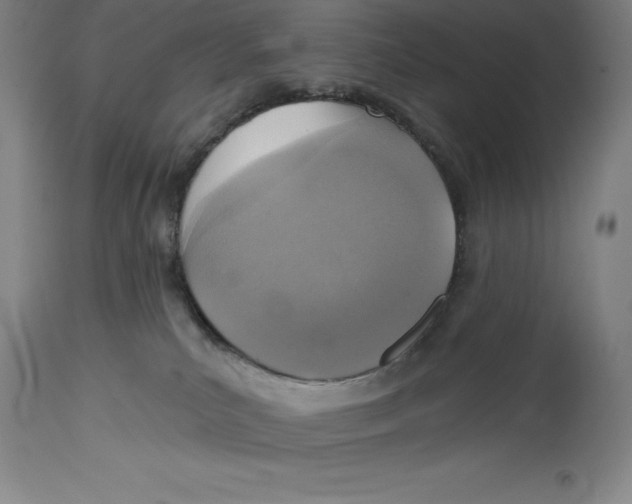 X0000114610039200911171045