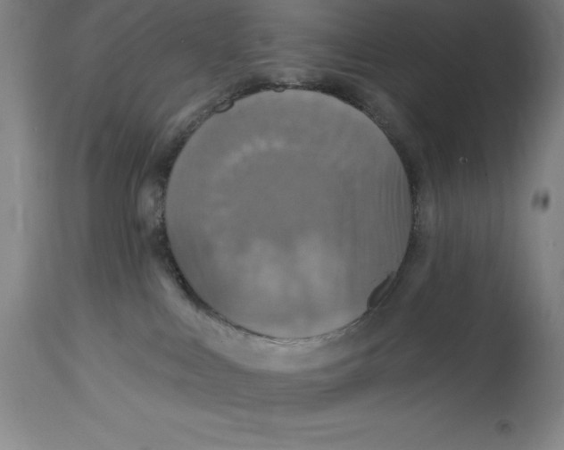 X0000114610043200911171045