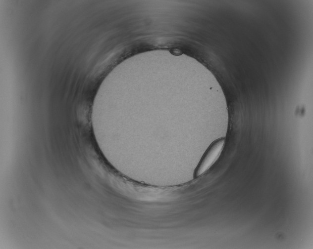 X0000114610044200911171045