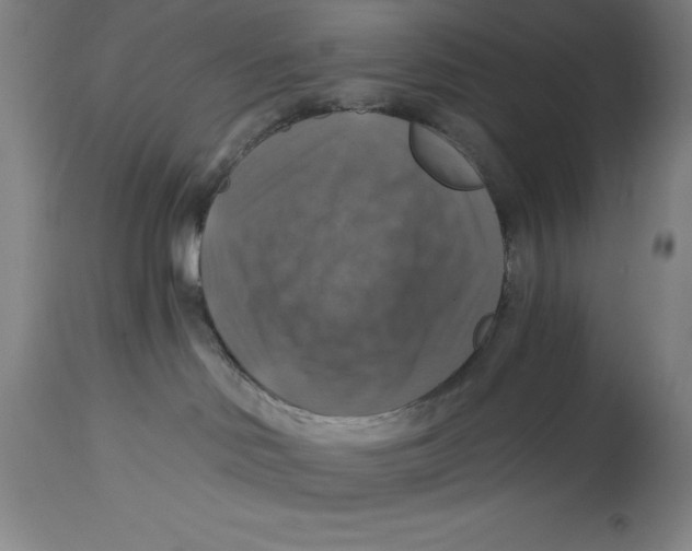 X0000114610046200911171045