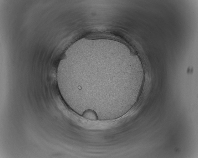 X0000114610048200911171045