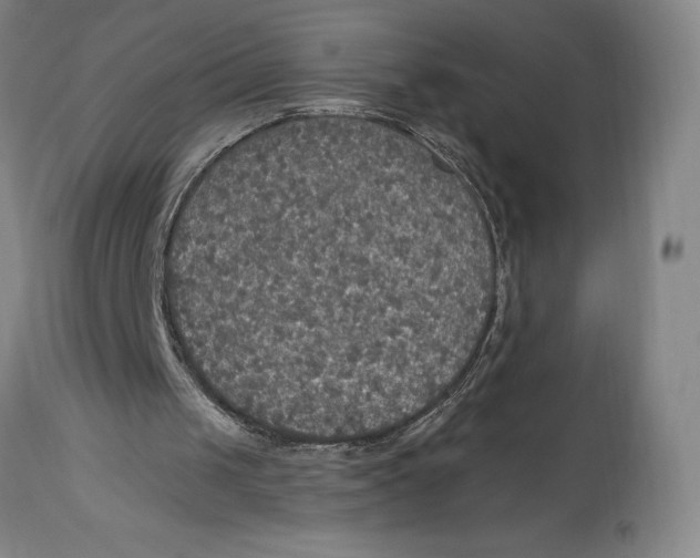 X0000114610049200911171044