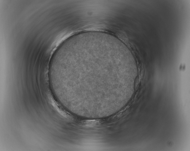 X0000114610050200911171044