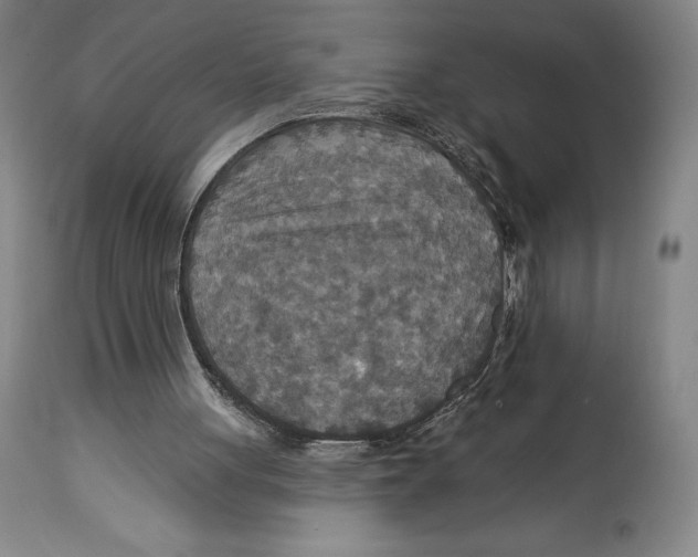 X0000114610051200911171044