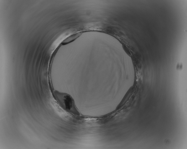 X0000114610052200911171044