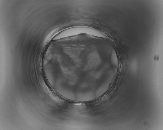 X0000114610053200911171044