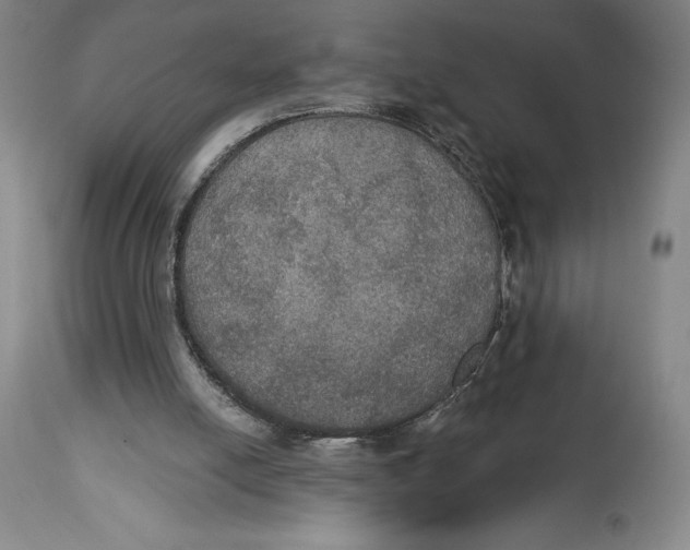 X0000114610054200911171044