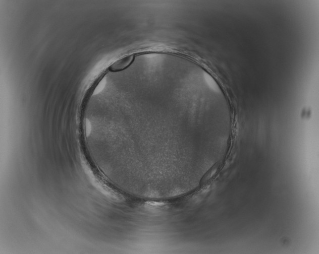 X0000114610055200911171044