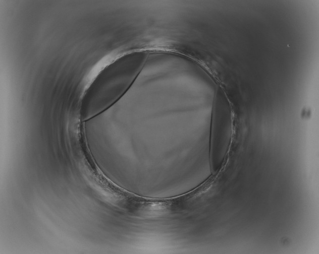 X0000114610056200911171044