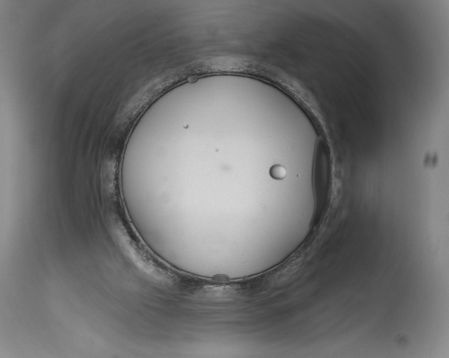 X0000114610057200911171044