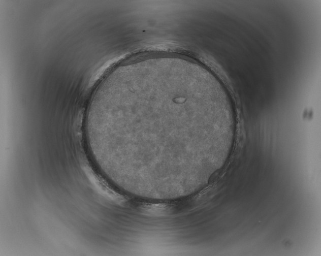 X0000114610058200911171044