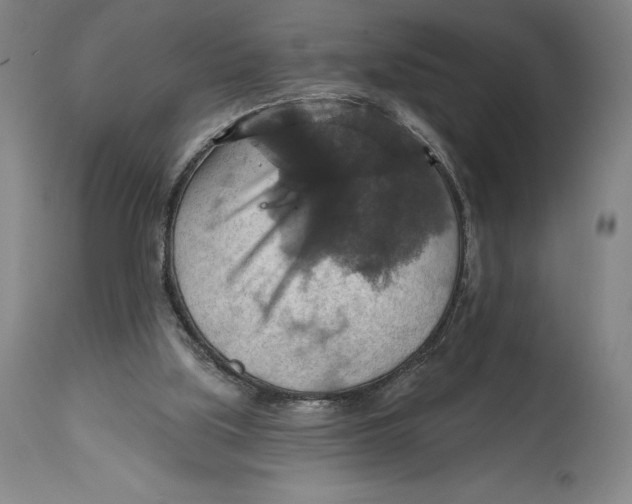 X0000114610059200911171044