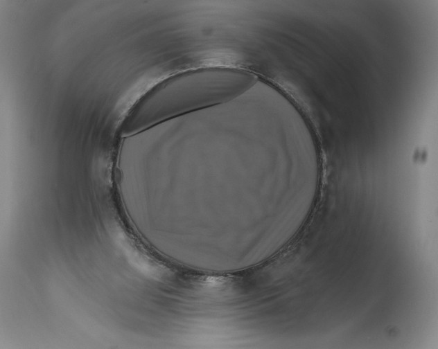 X0000114610060200911171044