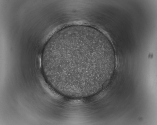 X0000114610061200911171044