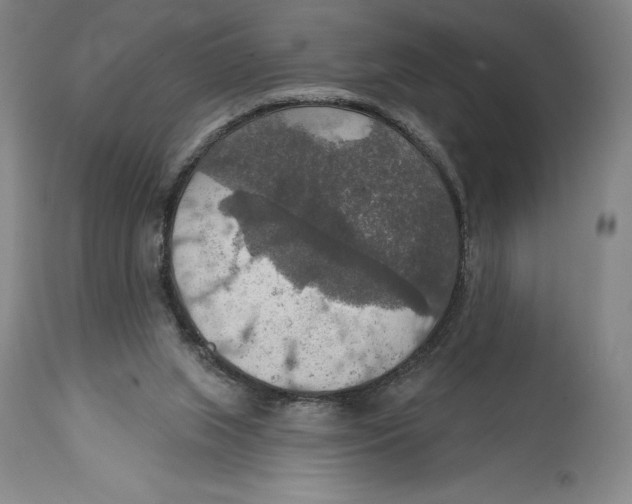 X0000114610063200911171044