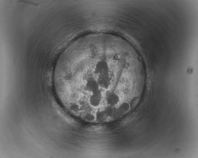 X0000114610065200911171044