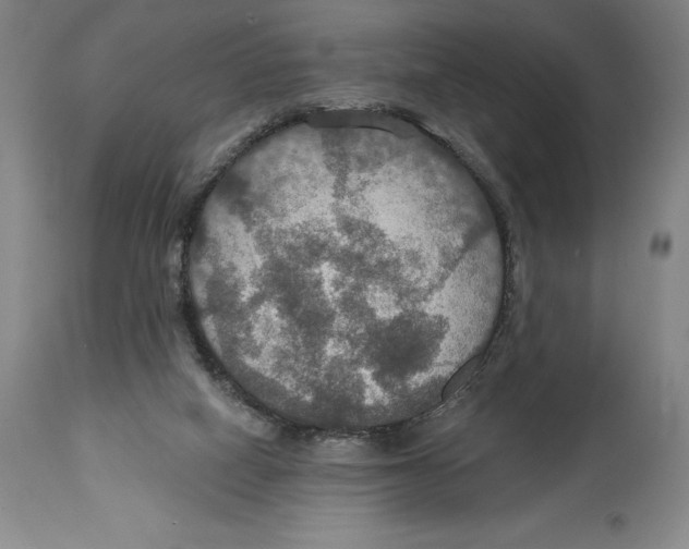 X0000114610066200911171044