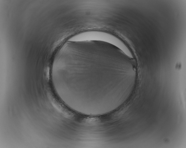 X0000114610067200911171044