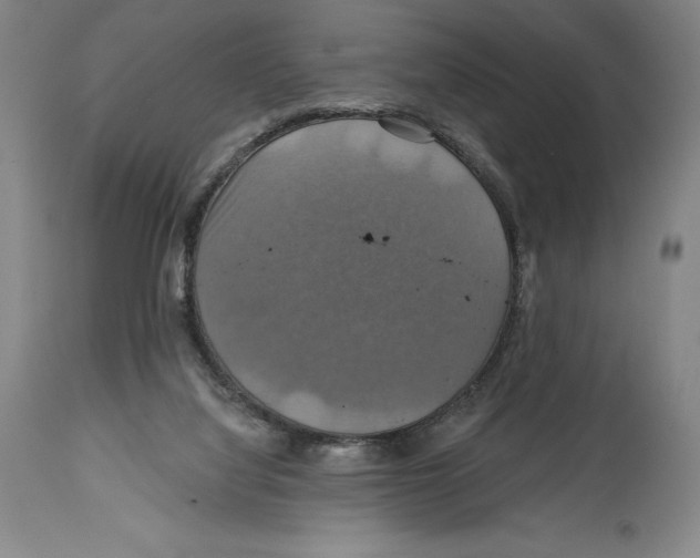 X0000114610068200911171044