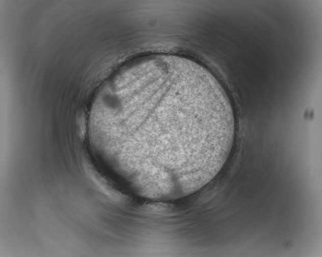 X0000114610069200911171044