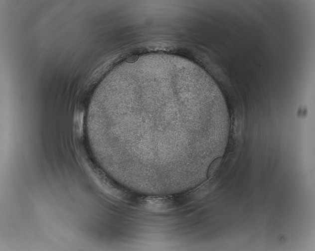 X0000114610070200911171044