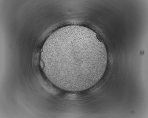 X0000114610071200911171044