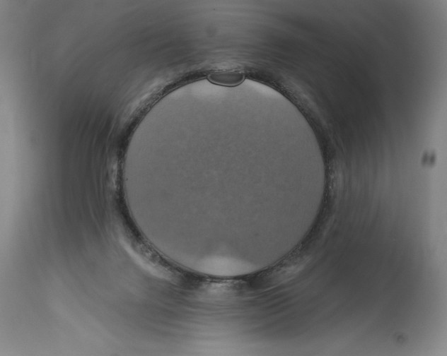 X0000114610072200911171044