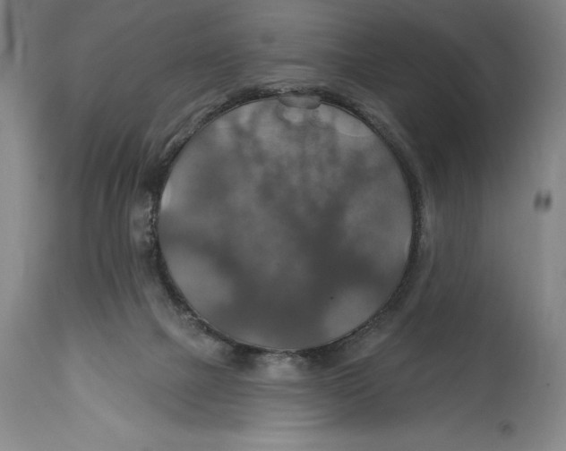 X0000114610073200911171044