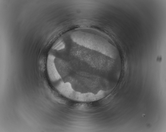 X0000114610074200911171044