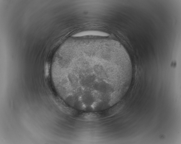 X0000114610075200911171044