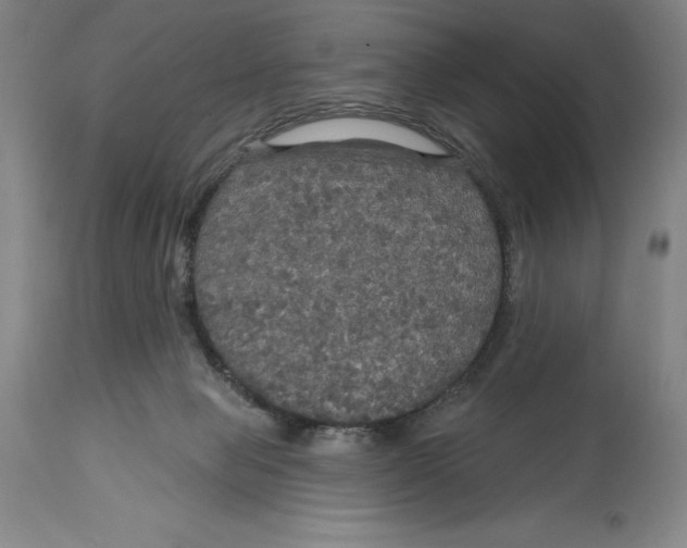 X0000114610077200911171044