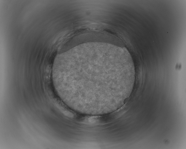 X0000114610078200911171044