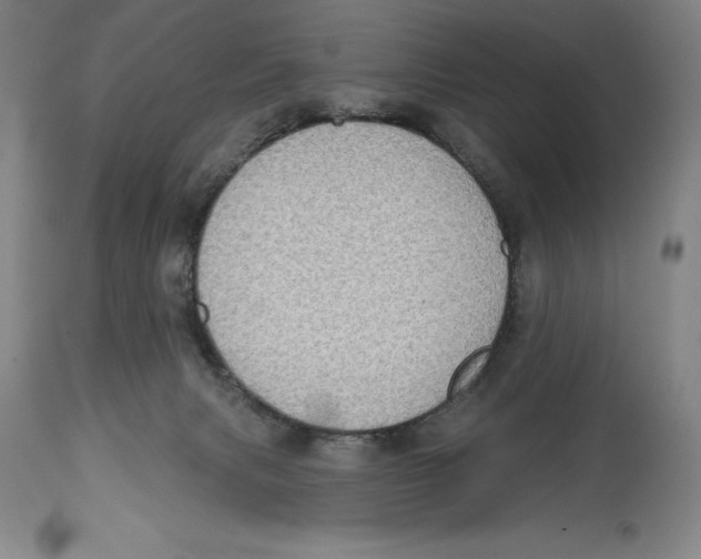 X0000114610079200911171045