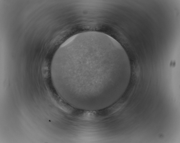 X0000114610080200911171045