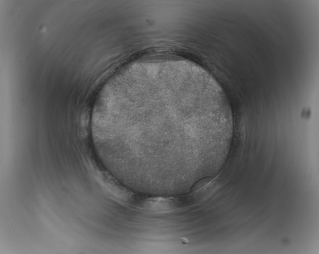 X0000114610082200911171045