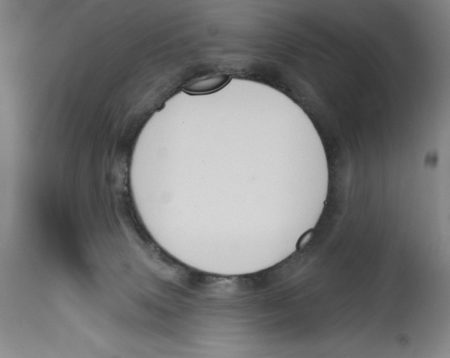 X0000114610083200911171045