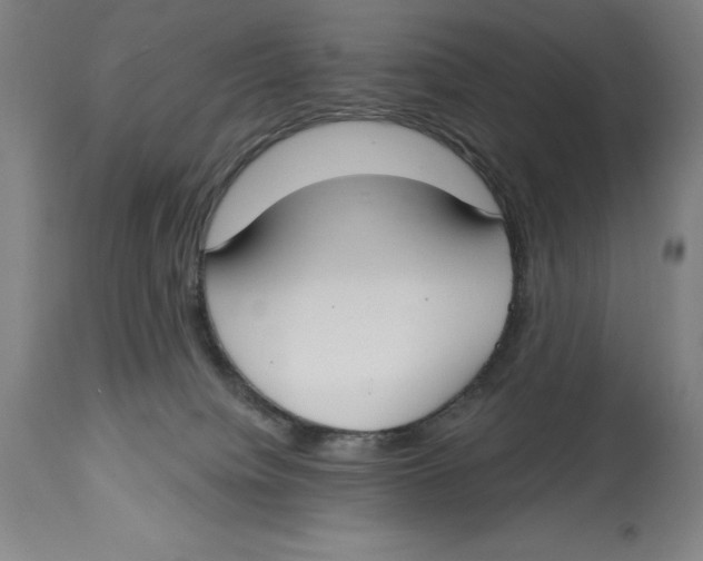 X0000114610084200911171045