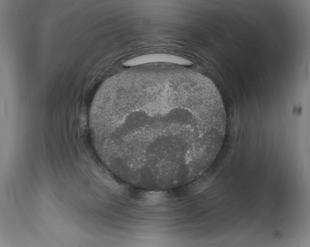 X0000114610085200911171045