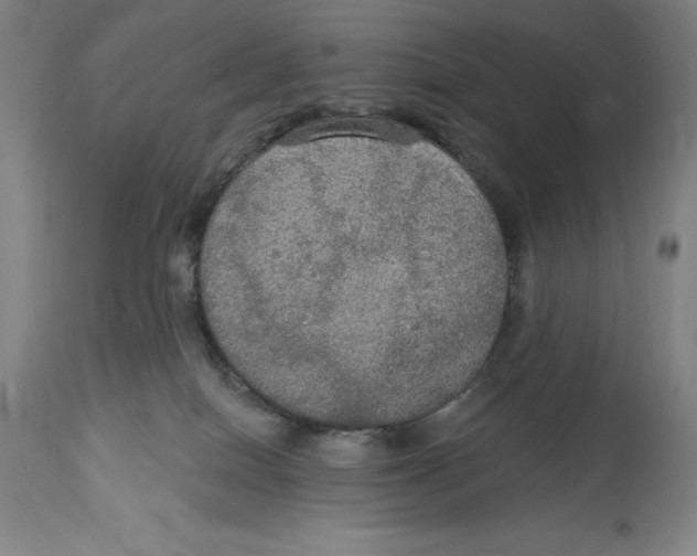 X0000114610086200911171045