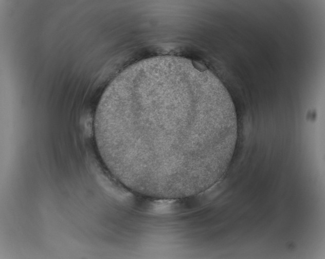 X0000114610090200911171045