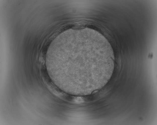 X0000114610091200911171045