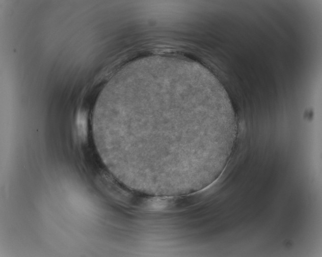 X0000114610094200911171045