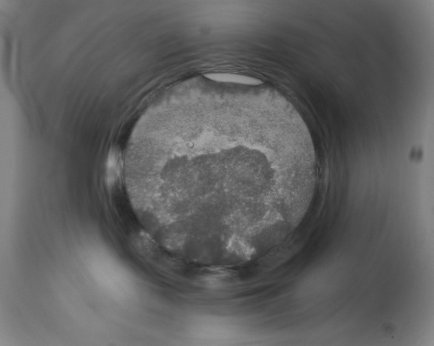 X0000114610095200911171045