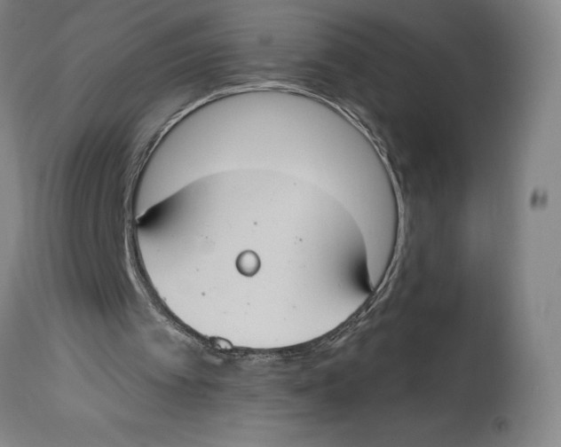 X0000114610097200911171044